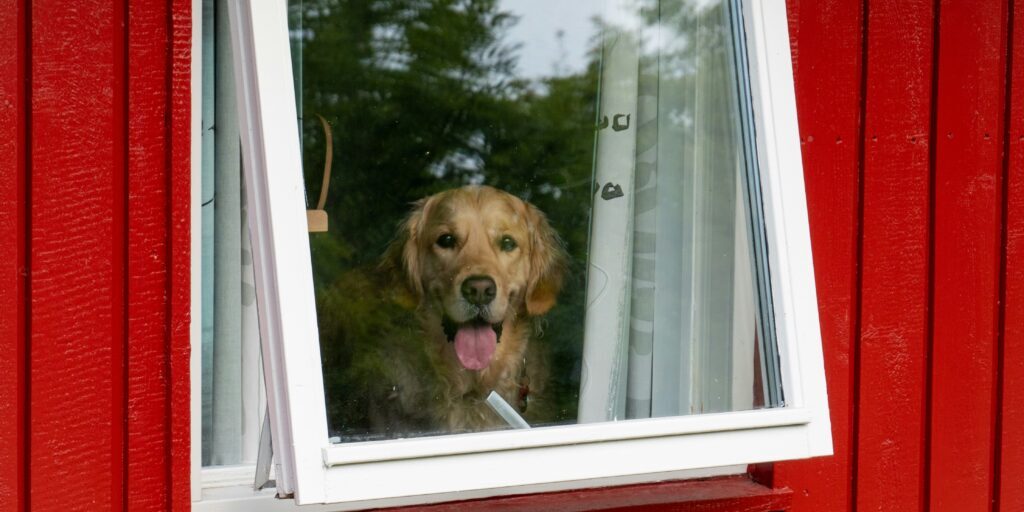 carl-malmer-I9KImeUdQ48-unsplash